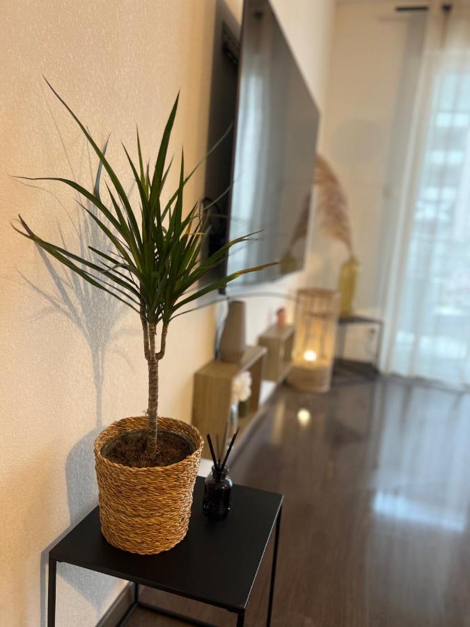 아작시오 T2 Cosy Ajaccio 아파트 외부 사진