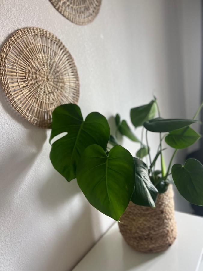 아작시오 T2 Cosy Ajaccio 아파트 외부 사진